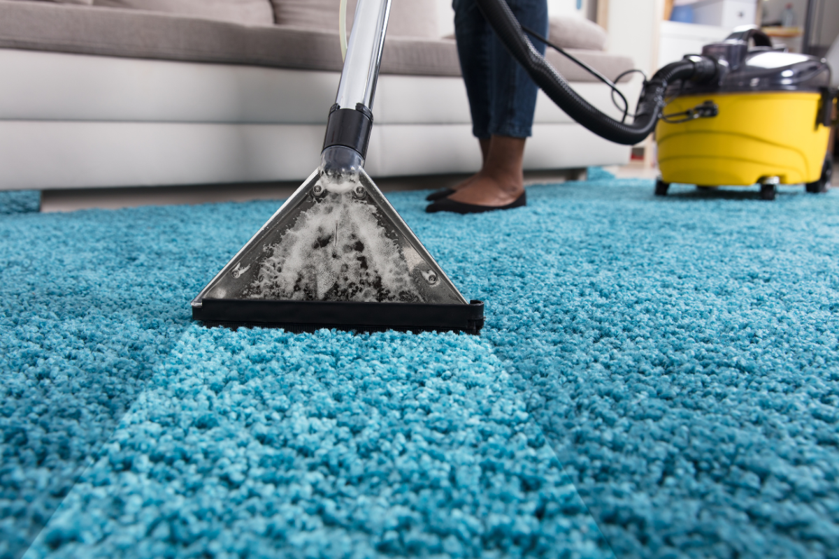 The 5 Best Wet Vacuum Cleaners for Tackling Tough Messes