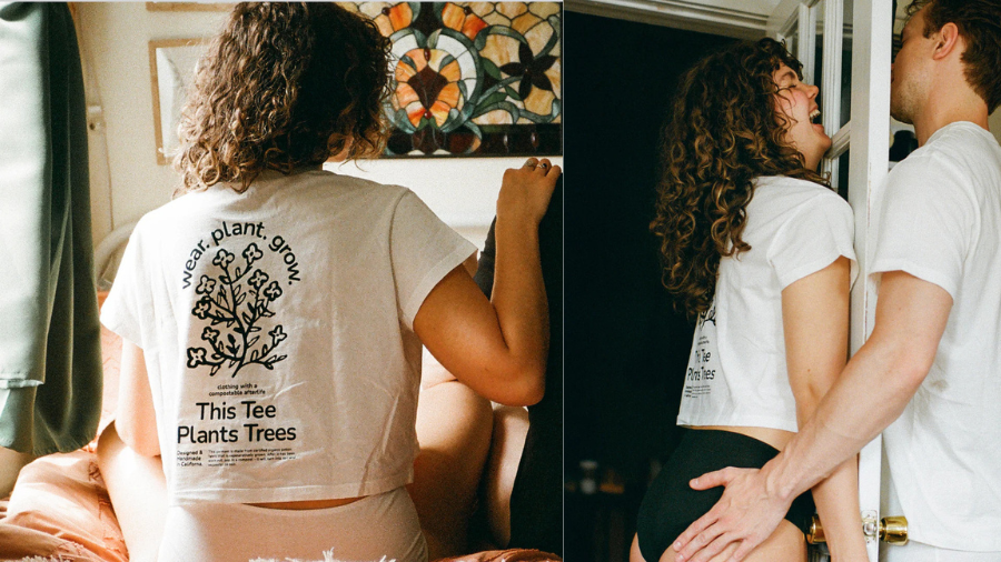 KENT Organic Cotton Crop T-Shirt