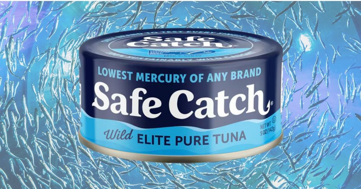Is Safe Catch Elite Wild Pure Tuna Worth It? A Deep Dive Into Mercury Testing, Taste, and Value