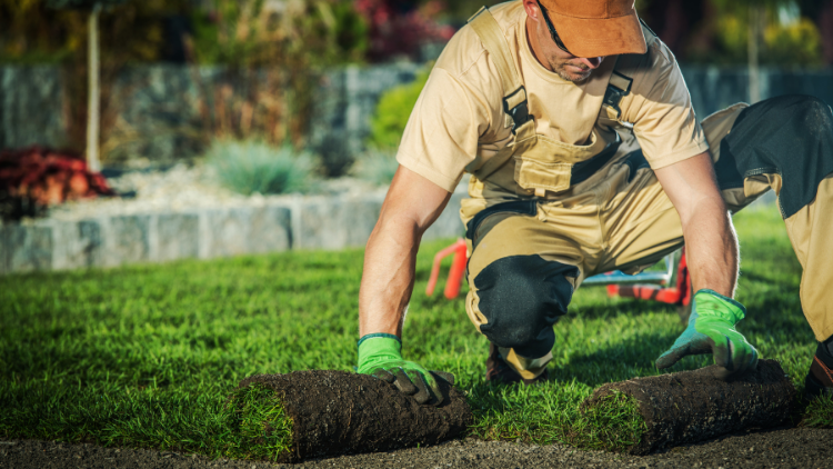 Houzz Landscape Design