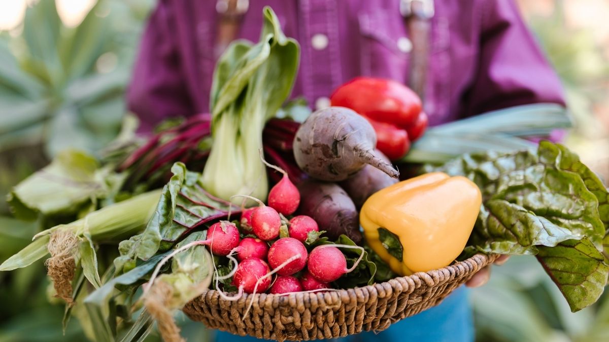 Choosing Vegan and Plant-Based Living with Vitacost 