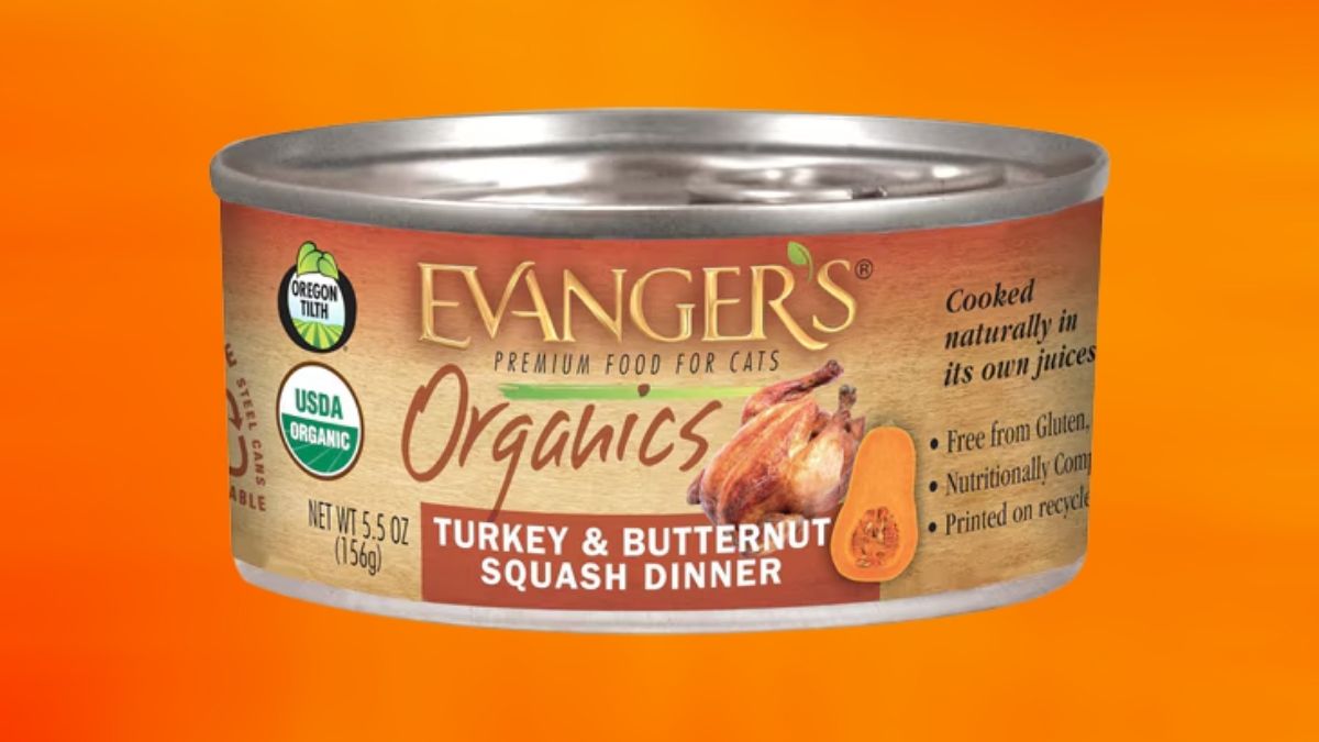 Understanding the Quality Behind Evanger’s Organics Turkey & Butternut Squash Dinner