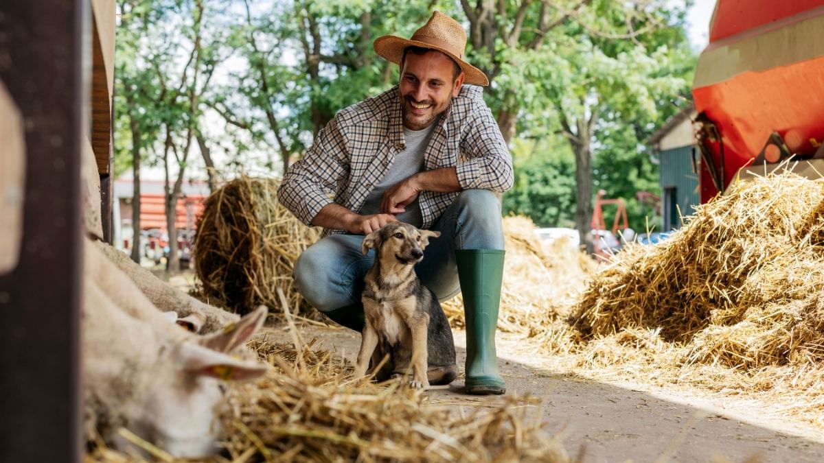 Gear Up for Fall: Tractor Supply’s Seasonal Deals on Tools, Boots, and Farm Essentials