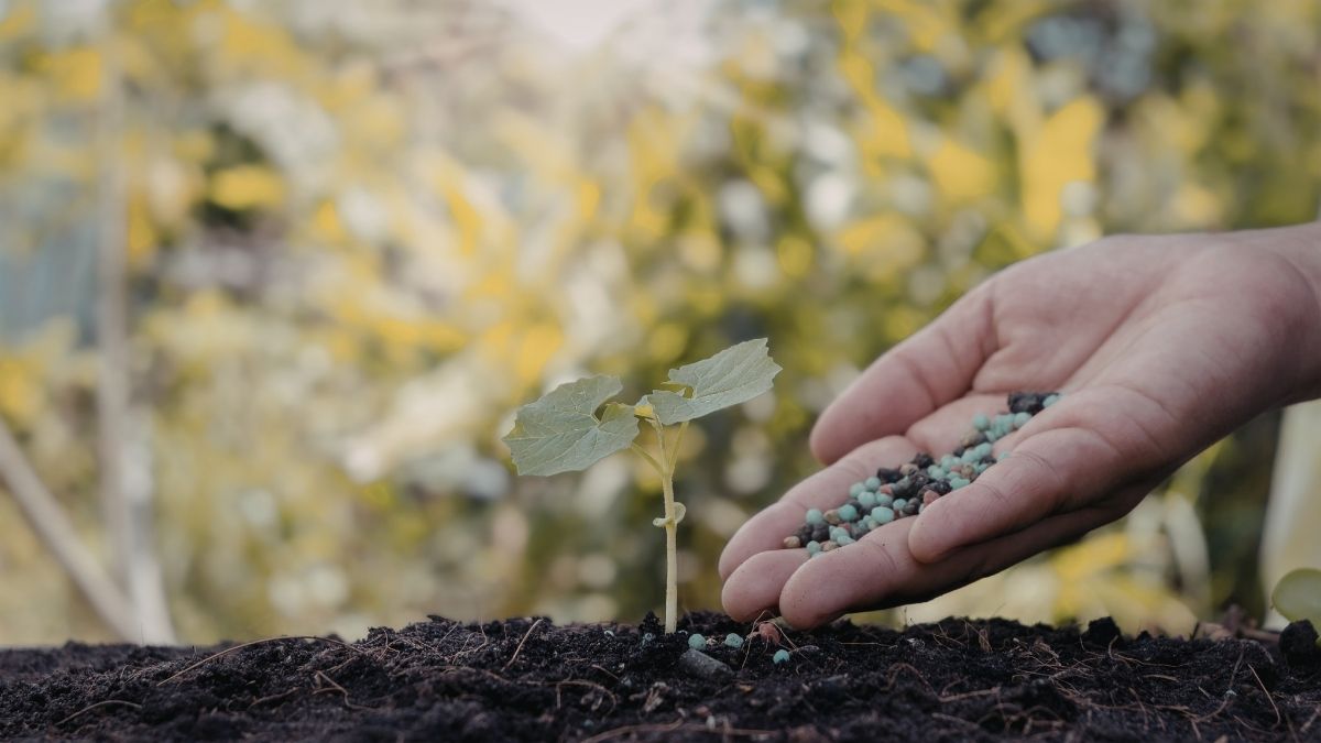 Intimissimi Sustainability: Inside the Eco-Conscious Lingerie Revolution