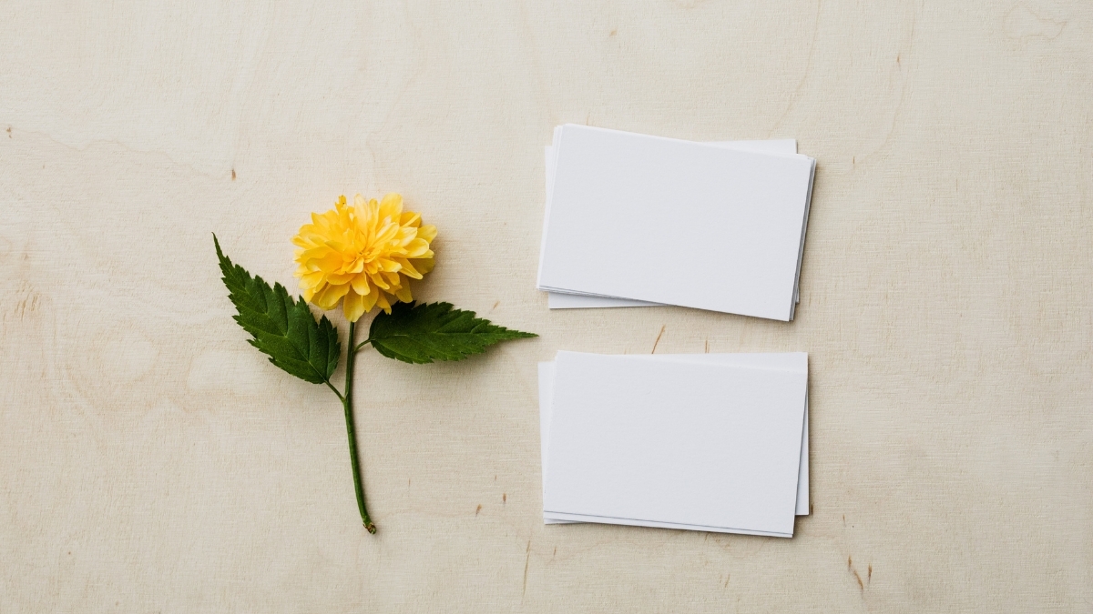 How VistaPrint Business Cards Compare in Quality, Cost, and Style