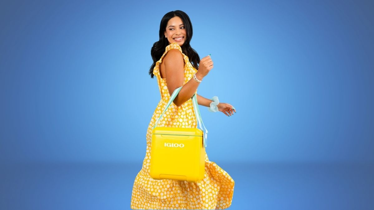 Igloo Tag Along Too Coolers