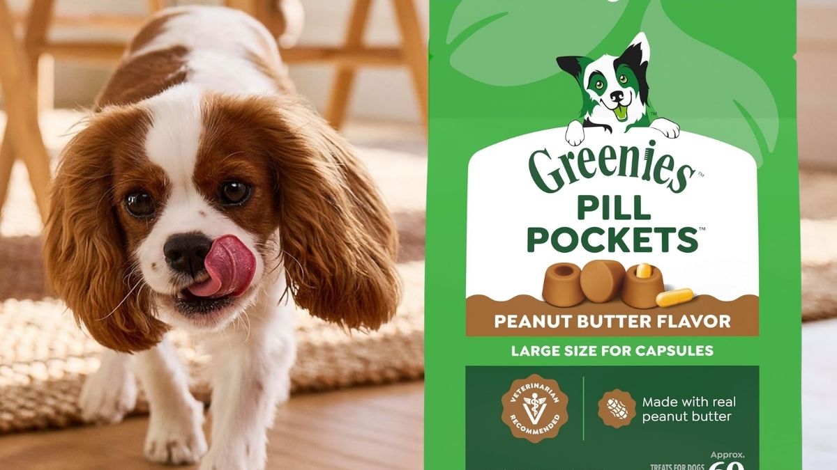 Greenies Pill Pockets for Dogs Large Size